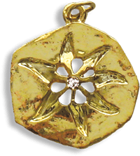 The Mystic Star Amulet